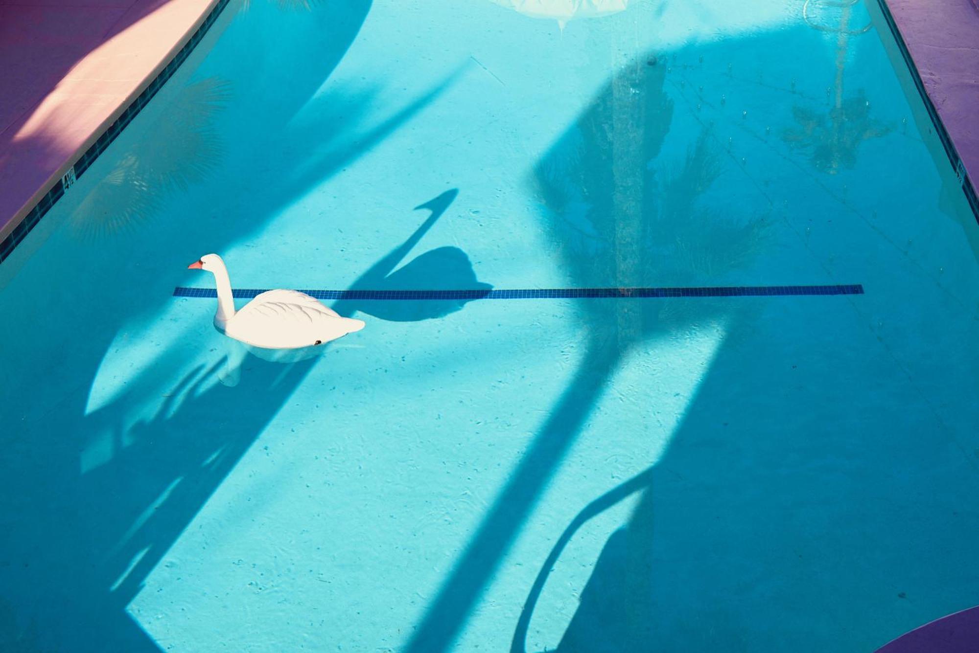 The Stardust Hotel - Adults Only Palm Springs Exteriér fotografie